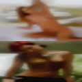 Honaker, cougars milfs