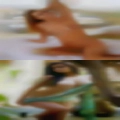 Sex in a farm