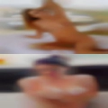 Horny women area free