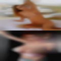 Sluts