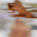 Swinger outdoors dares