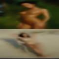 Fuck Davison