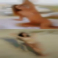 Old horny families swingers