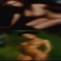 Hot housewives sex