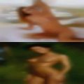 Sluts Roanoke