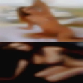 Local pussy 62801