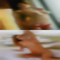 Horny single milfs Kansas City