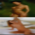 Nudist swingers Collins